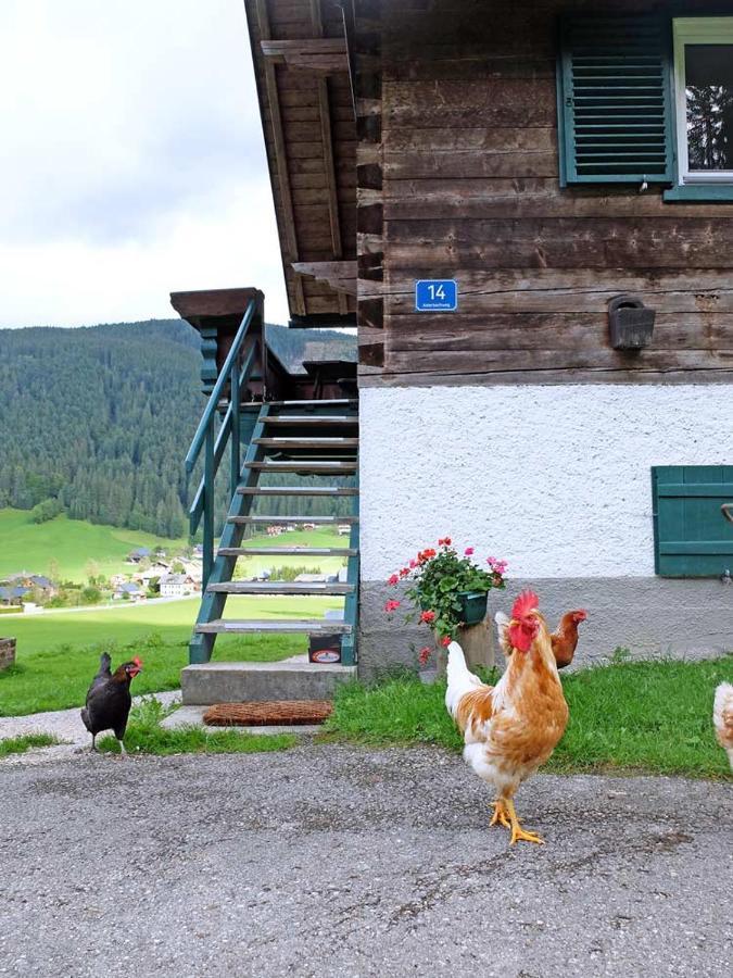 Ferienhaus Asterbach Gosau Exterior foto
