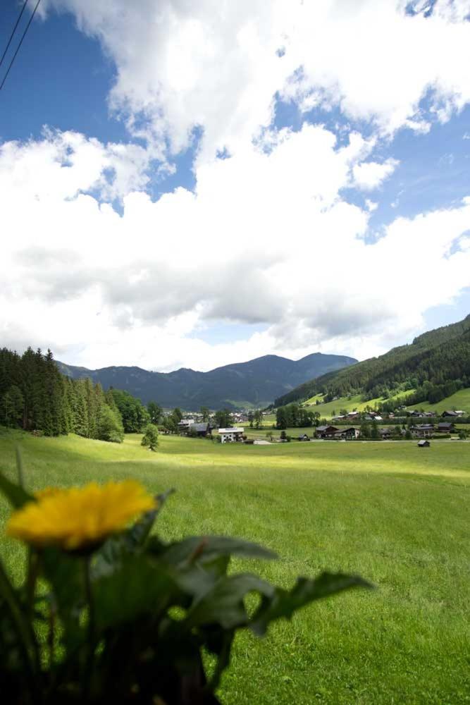 Ferienhaus Asterbach Gosau Exterior foto